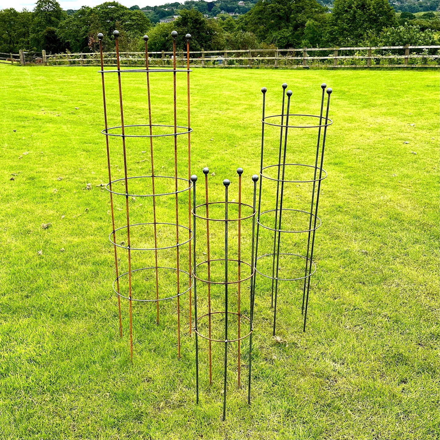 Sweet Pea Frame