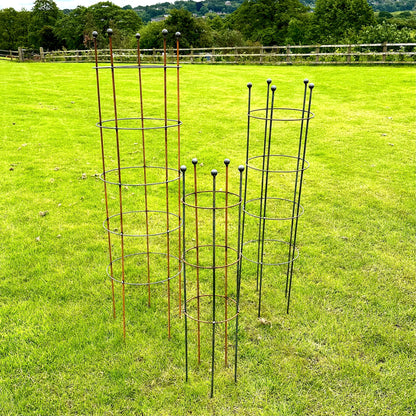 Sweet Pea Frame