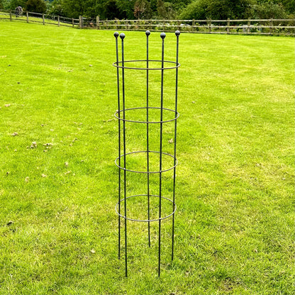 Sweet Pea Frame