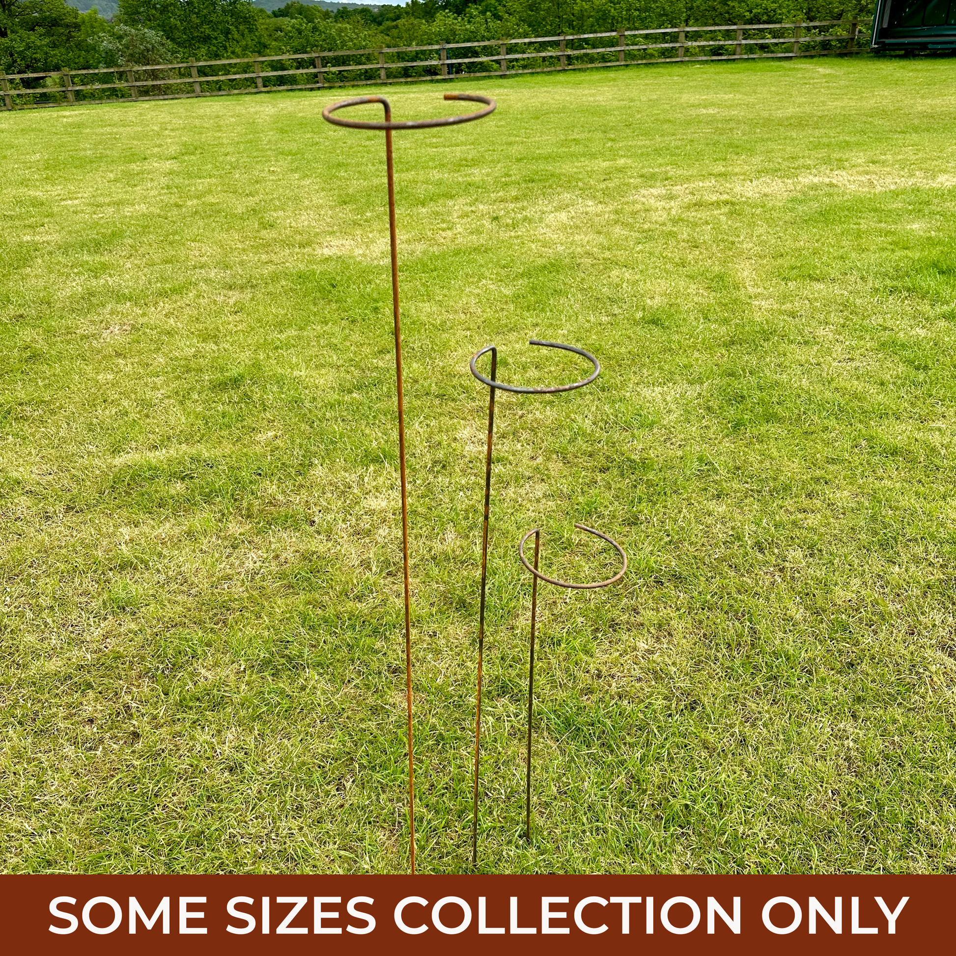 Three rusty metal garden stake holders with circular loops at the top, shown standing in a green grass lawn. A red banner at the bottom reads 'SOME SIZES COLLECTION ONLY'.